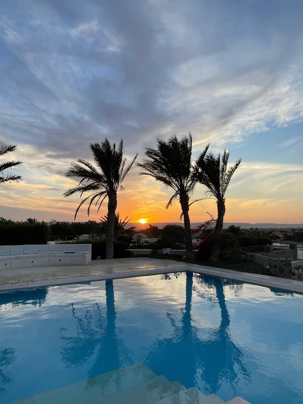Sunset behind the palms