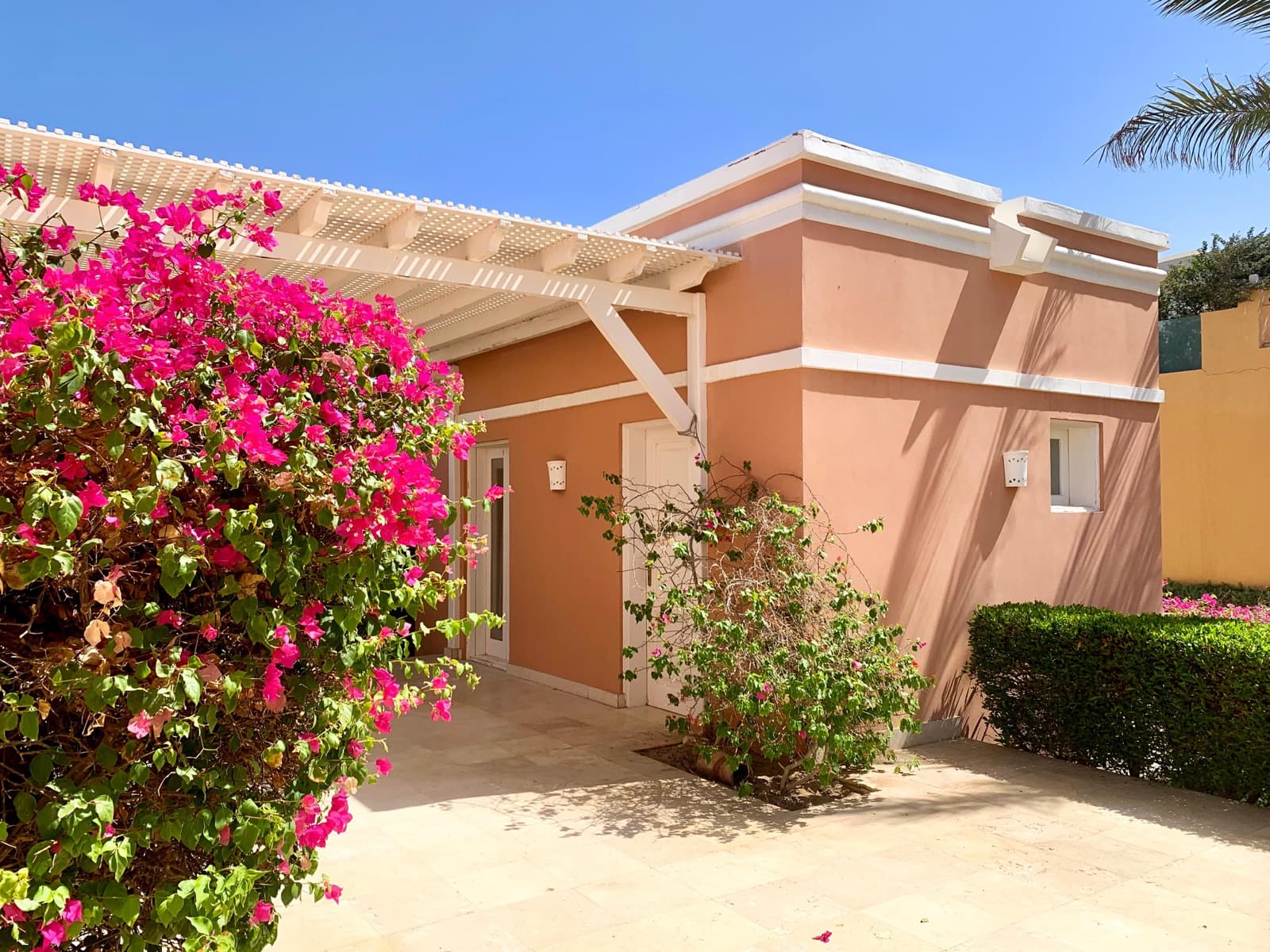 The entrance, bougainvillea in bloom