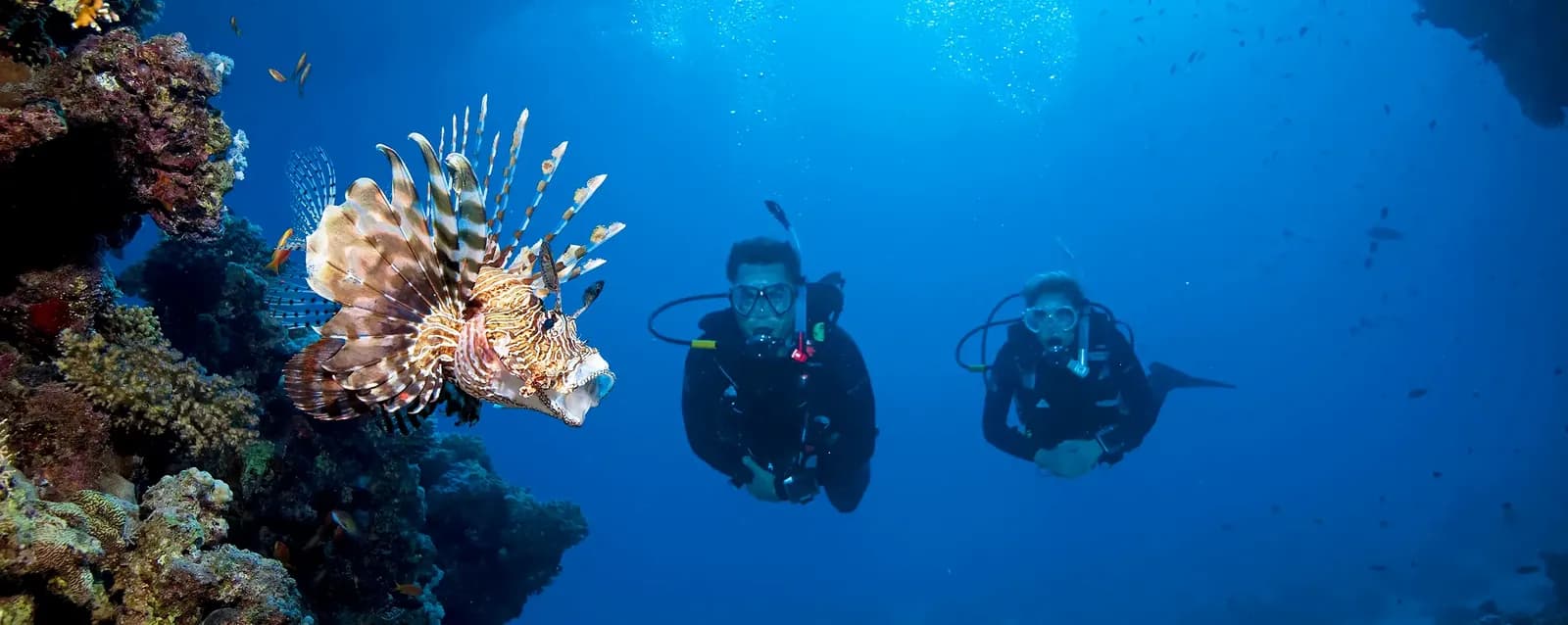 Diving & snorkeling trips
