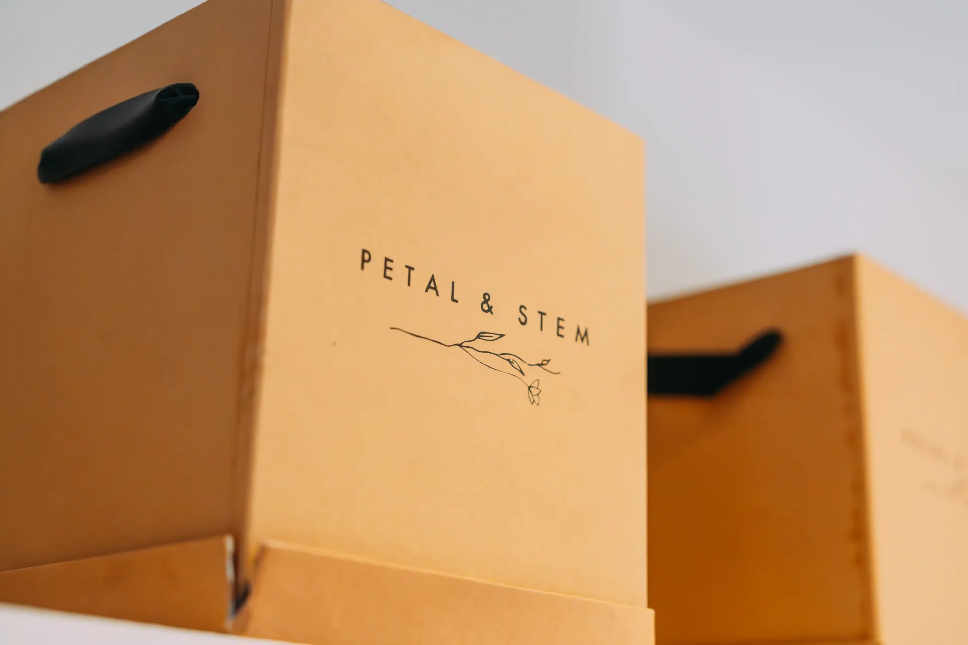 Petal & Stem — photo 6 of 8