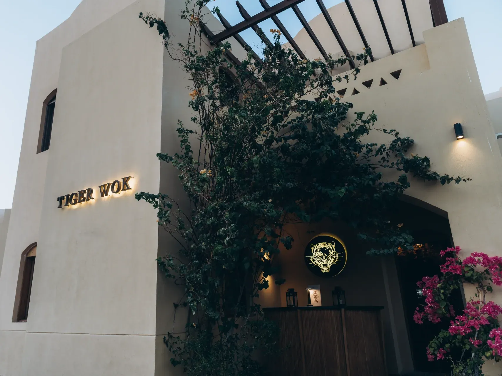 Tiger Wok — photo 1 of 8