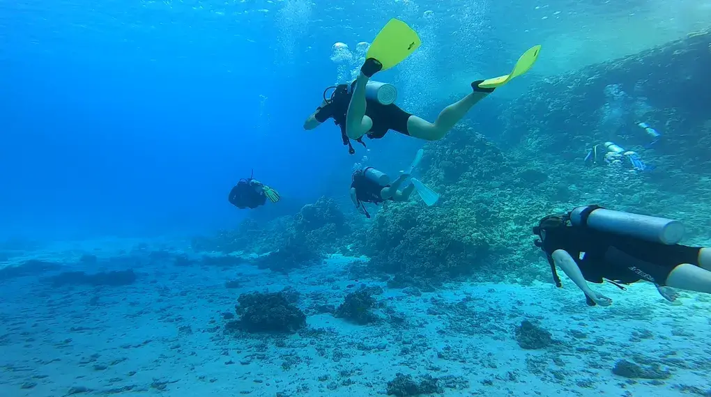 Blue Brother Divers — photo 2 of 4