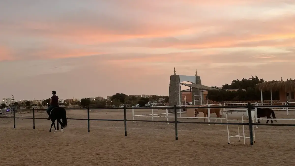 Farah Private Stable — photo 1 of 4