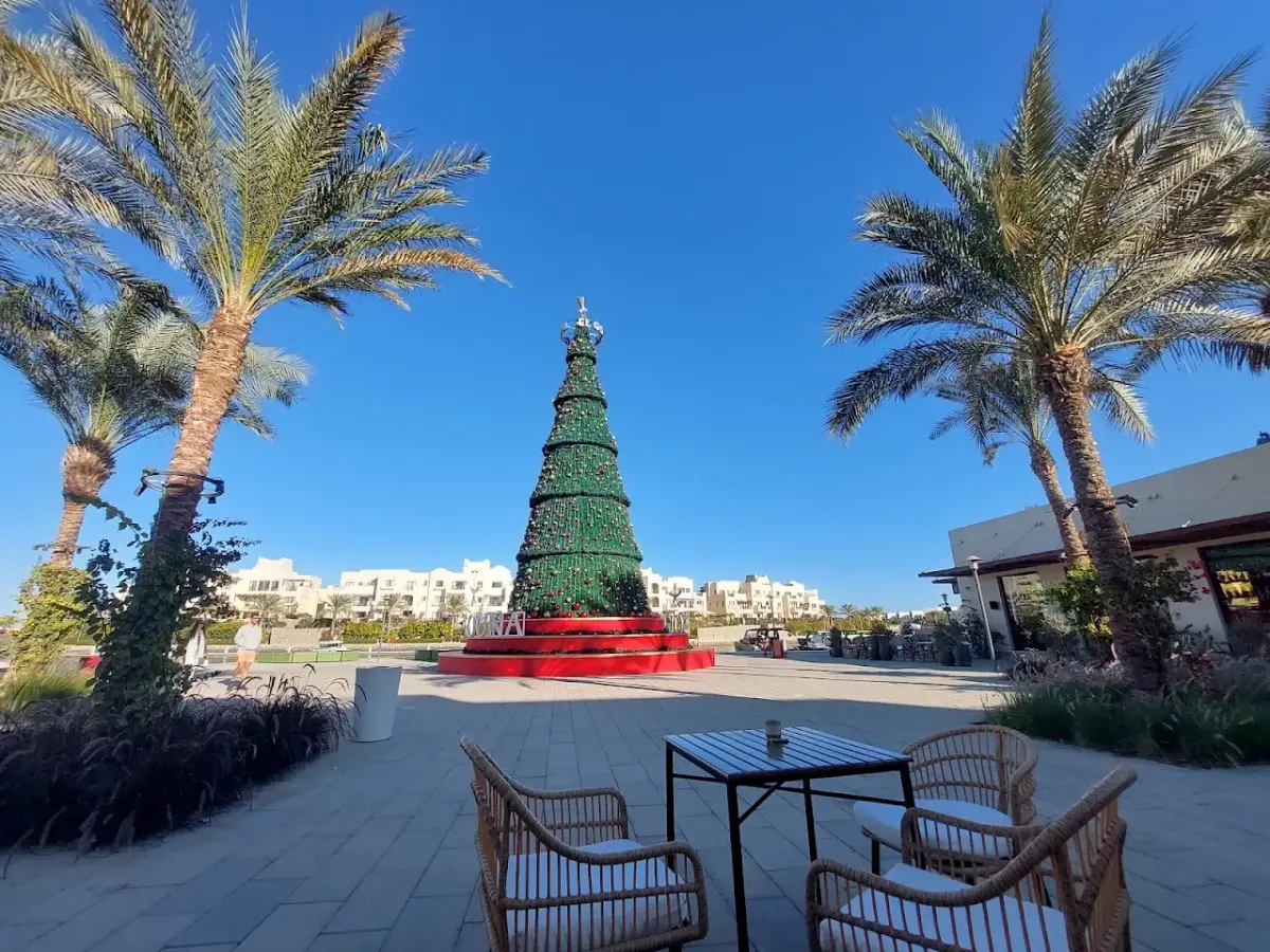Seda (Fanadir Marina) — photo 3 of 4