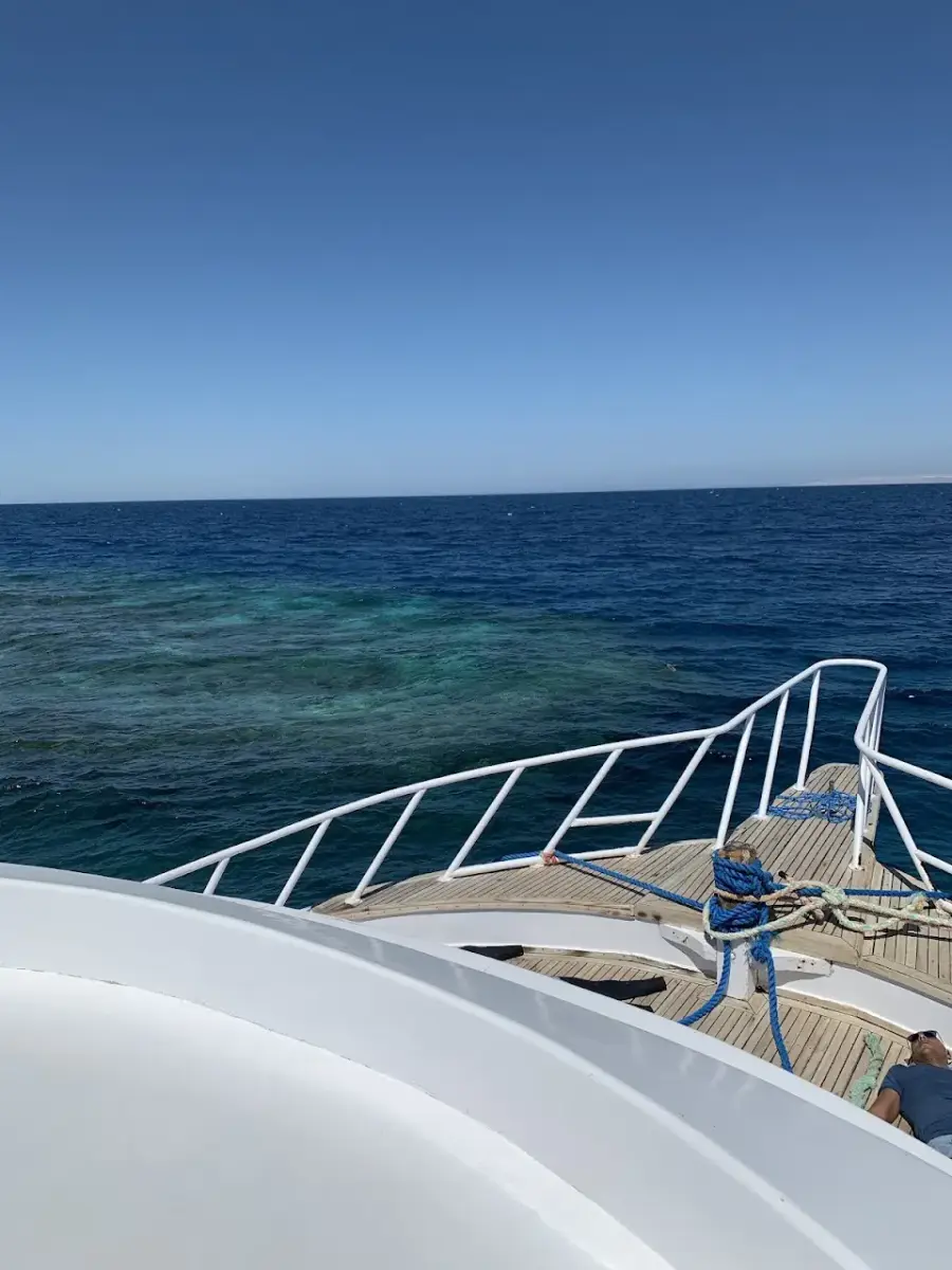 The Dive Connection Diving Centre — photo 3 of 4